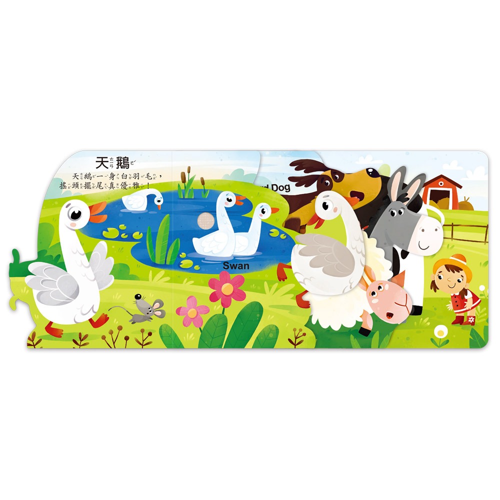 聽,什麼聲音?農場動物園:圖片 3