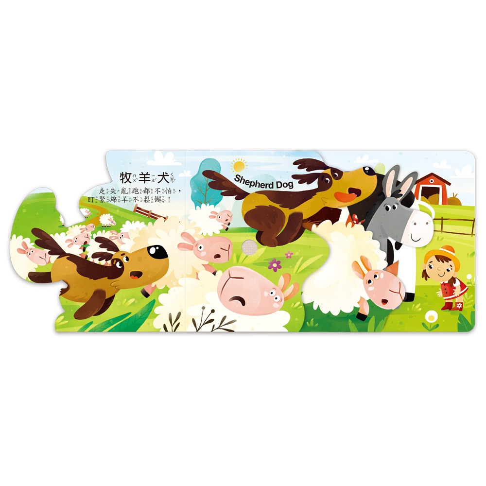 聽,什麼聲音?農場動物園:圖片 4